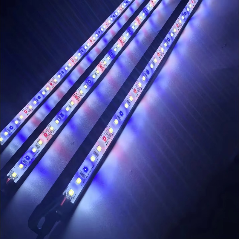 Aquarium Blue Marine Reef - IP68 방수 LED 수족관 조명 바,