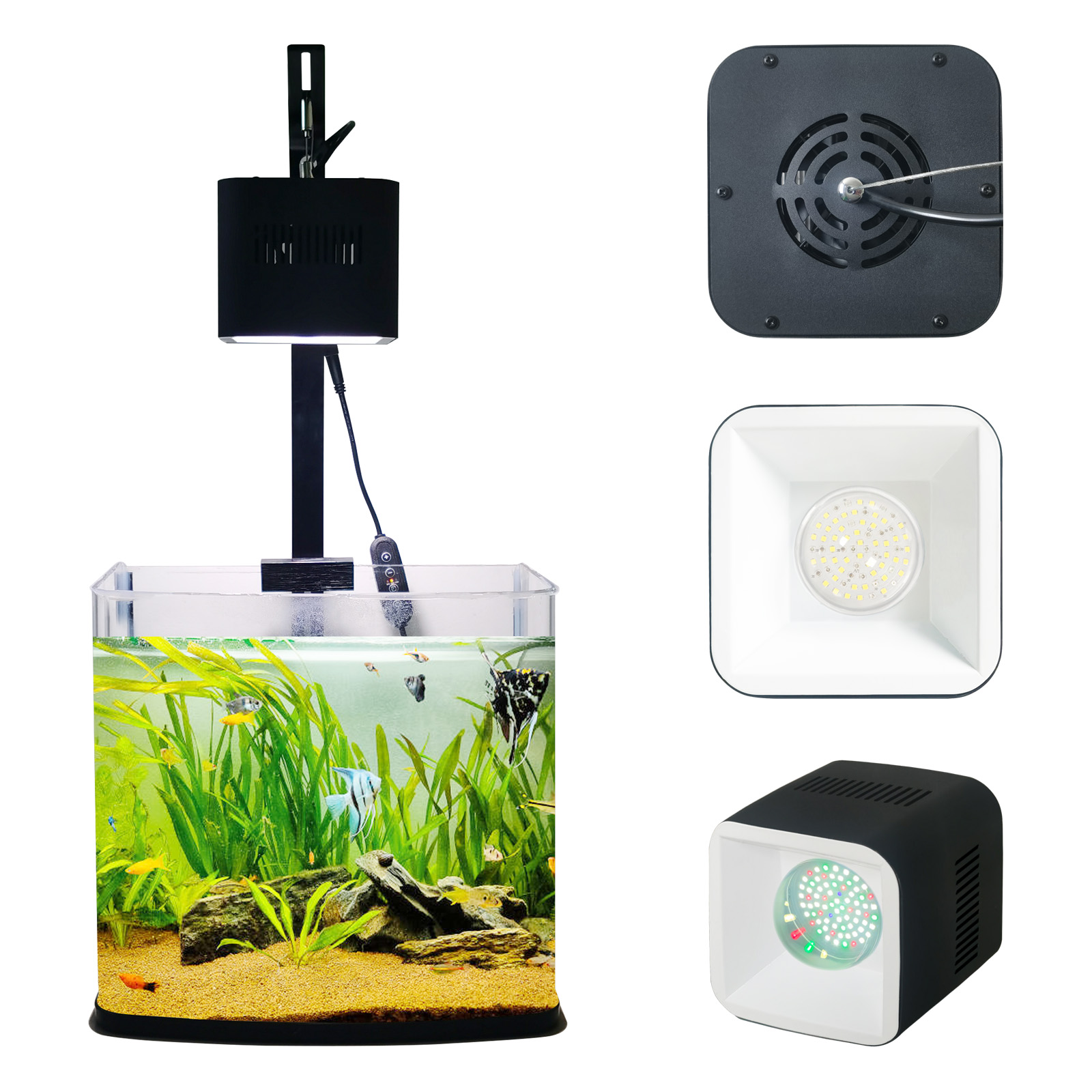 8시간 10시간 12시간 타이머 패널 리프 마린 코랄  - Aquarium Blue Marine Reef 리뷰 및 가격