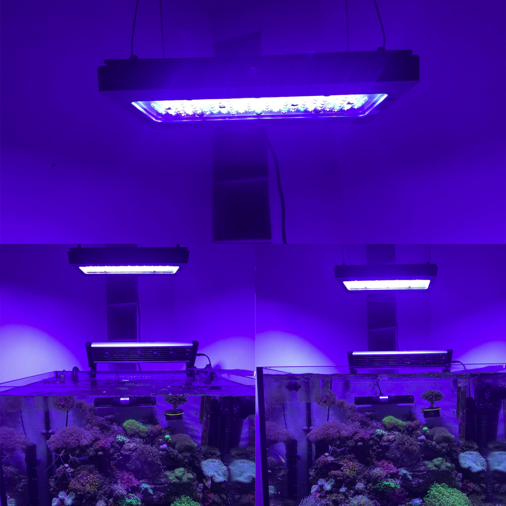 A8se Pro II MAX 블루 240W 해양 리프  - Aquarium Blue Marine Reef 리뷰 및 가격