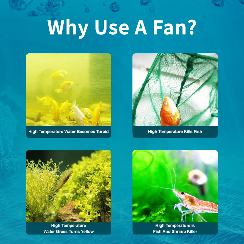 Jebao Jecod ACF 시리즈 수족관 냉각 팬 음 - Marine Aquarium Uk 리뷰 및 가격
