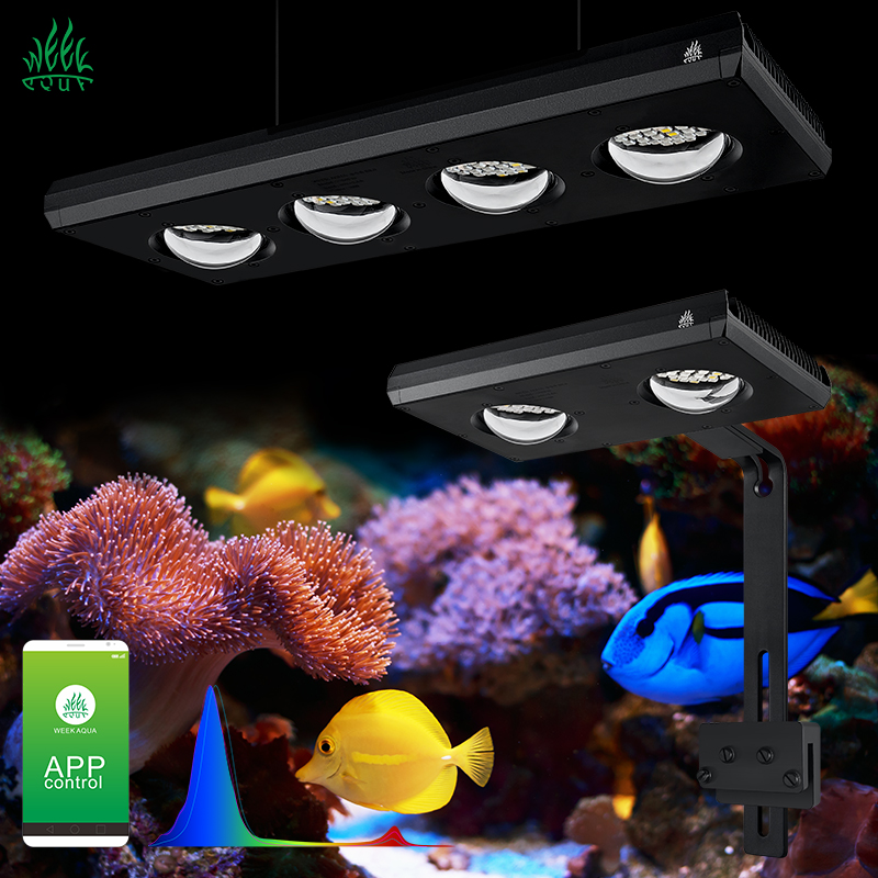 ZXY 핫 세일 WEEKAQUA Z250 Z400sea - Aquarium Blue Marine Reef 리뷰 및 가격