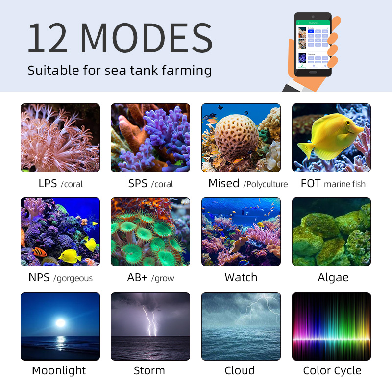 ZXY 핫 세일 WEEKAQUA Z250 Z400sea - Aquarium Blue Marine Reef 리뷰 및 가격