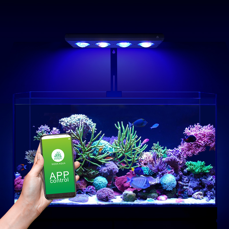 ZXY 핫 세일 WEEKAQUA Z250 Z400sea - Aquarium Blue Marine Reef 리뷰 및 가격