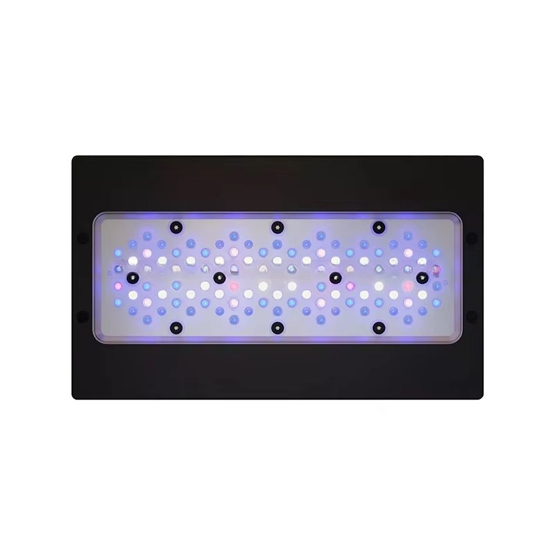 A8 Se II Max 및 블루 240W LED 풀 스 - Aquarium Blue Marine Reef 리뷰 및 가격