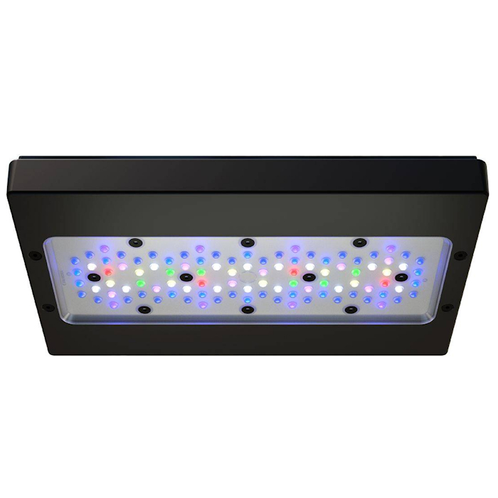 A8 PRO III Max 및 블루 245W 풀 스펙트 - Aquarium Blue Marine Reef 리뷰 및 가격